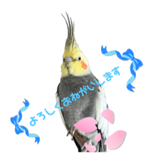 [LINEスタンプ] Sapporo Fairies Bird