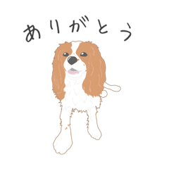 [LINEスタンプ] キャバリアです。『愉快な仲間たち編』