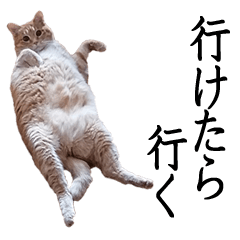 [LINEスタンプ] だらしない猫のためのスタンプ