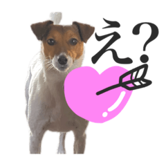 [LINEスタンプ] わがやのゆきちスタンプ3