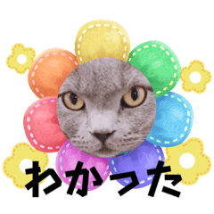 [LINEスタンプ] つららのスタンプを作りました