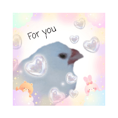 [LINEスタンプ] バレンタインとホワイトデー・白文鳥