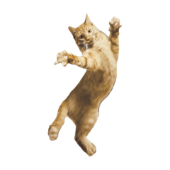 [LINEスタンプ] 猫の【きのこ】さん！