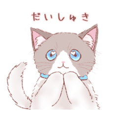 [LINEスタンプ] 懐いてるにゃんこ