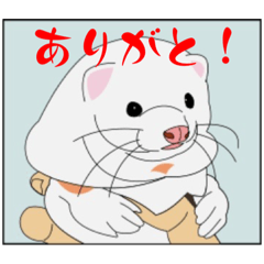 [LINEスタンプ] 和風文字でリアル目なフェレットと亀と鮫