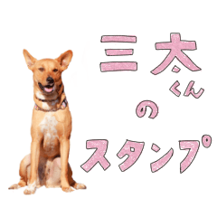 [LINEスタンプ] 【修正版】三太くんのスタンプ