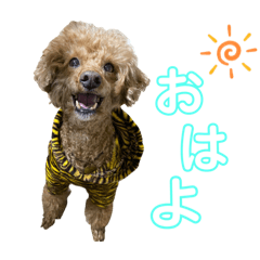 [LINEスタンプ] くりとひい