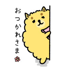 [LINEスタンプ] ポメッチ(日常会話用)