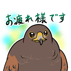 [LINEスタンプ] 凛として親しみやすいハリスホーク