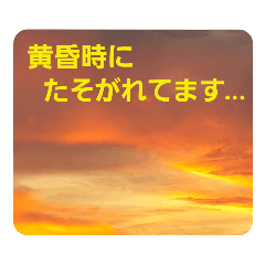 [LINEスタンプ] 夕焼け雲の伝言板1(黄昏時のあれこれ！？)