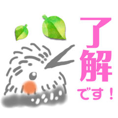 [LINEスタンプ] ヒヨドリ大好き！ぴーちゃんスタンプ