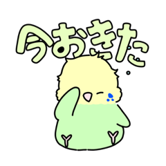 [LINEスタンプ] 日常会話〜インコと共に〜