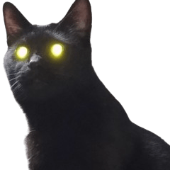 [LINEスタンプ] 我が猫を見よ！