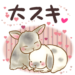 [LINEスタンプ] 気持ちを伝えるうさぎのスタンプ