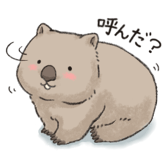 [LINEスタンプ] ずんぐりウォンバットさん