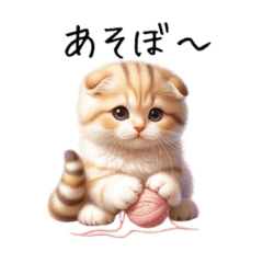 [LINEスタンプ] ふわもこのスコティッシュ【修正版】