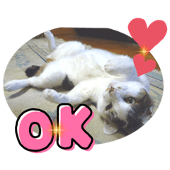[LINEスタンプ] まがちゃんのスタンプ