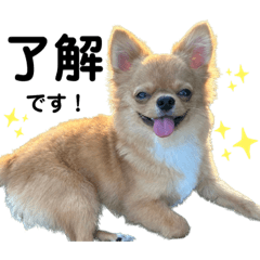 [LINEスタンプ] れおすけスタンプ ver.1