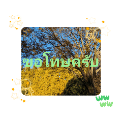 [LINEスタンプ] タイ語で日常会話を楽しもう観光名所の青天