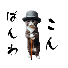 [LINEスタンプ] 使いやすい？猫達のスタンプ