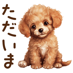 [LINEスタンプ] 子犬のトイプードルと1年中使える言葉