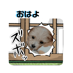 [LINEスタンプ] こねぎの一日❣