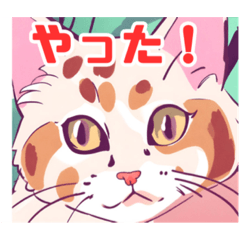 [LINEスタンプ] 毎日使える！猫スタンプ！！