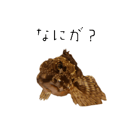 [LINEスタンプ] カサゴの日常