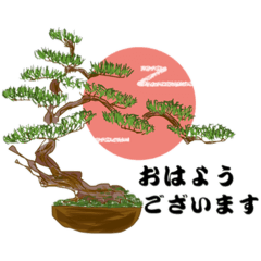 [LINEスタンプ] 盆栽で返事、返事を盆栽で。