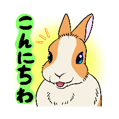 [LINEスタンプ] うさぎのくーさん日常