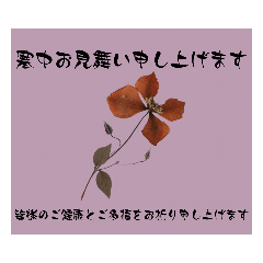 [LINEスタンプ] 寒中お見舞い4