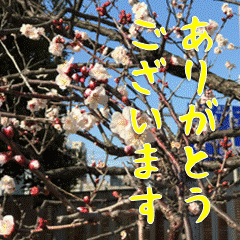 [LINEスタンプ] 動く言葉 花の写真