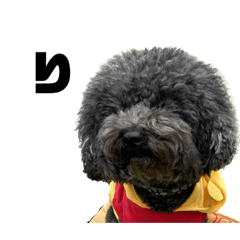 [LINEスタンプ] 毎日使えるスタンプ(犬)