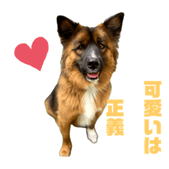 [LINEスタンプ] 元野犬のぴーすけ