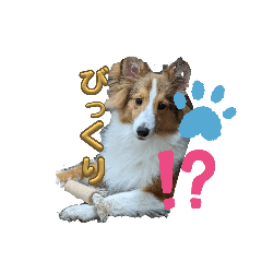 [LINEスタンプ] びすこってぃ①