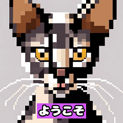 [LINEスタンプ] 猫ピクセル2【修正版】