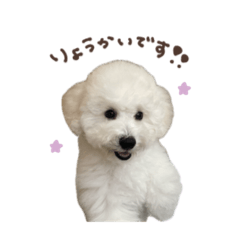 [LINEスタンプ] ねねるるののほたてうにふーにぃ♡