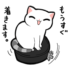 [LINEスタンプ] かわゆい猫ちゃん5(ファイブ)日常スタンプ