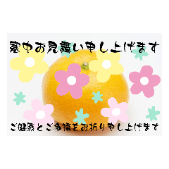 [LINEスタンプ] 寒中お見舞い5