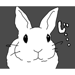 [LINEスタンプ] うさぎのまりー