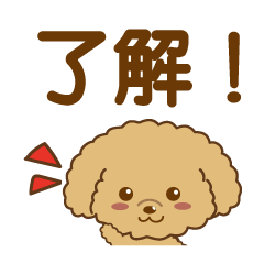 [LINEスタンプ] トイプーむぎのかわいいスタンプ