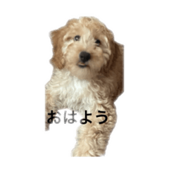 [LINEスタンプ] HIME 〜ひめ〜 ver.1