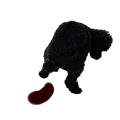 [LINEスタンプ] リルだよ