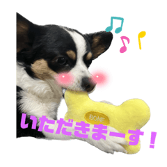 [LINEスタンプ] こむしゃんの日常