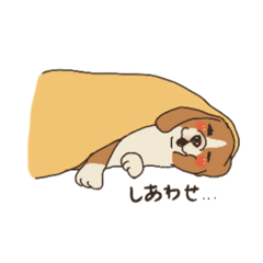 [LINEスタンプ] 私のイッヌちゃん