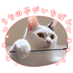 [LINEスタンプ] 睦くんの日常