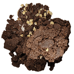 [LINEスタンプ] 食品シリーズ : チョコチップクッキー #3