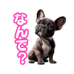 [LINEスタンプ] フレンチブルドックのブチ夫くん