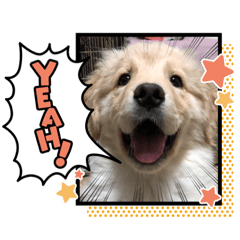 [LINEスタンプ] うーちゃんでぷ。