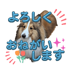 [LINEスタンプ] びすこってぃ④〜敬語〜